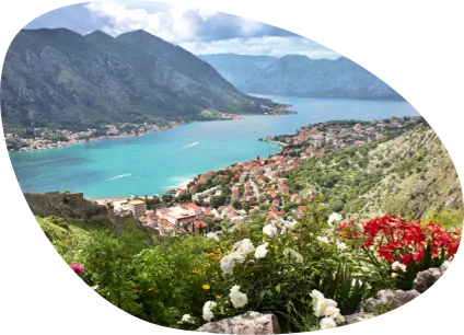 Kotor